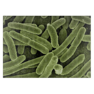 planche à découper du germe Haut-recherche