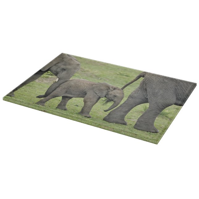 Planche À Découper Éléphant d'Afrique femelle avec bébé (Coin)