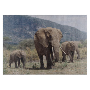 Planche À Découper Éléphant mère marchant avec un éléphant jeune
