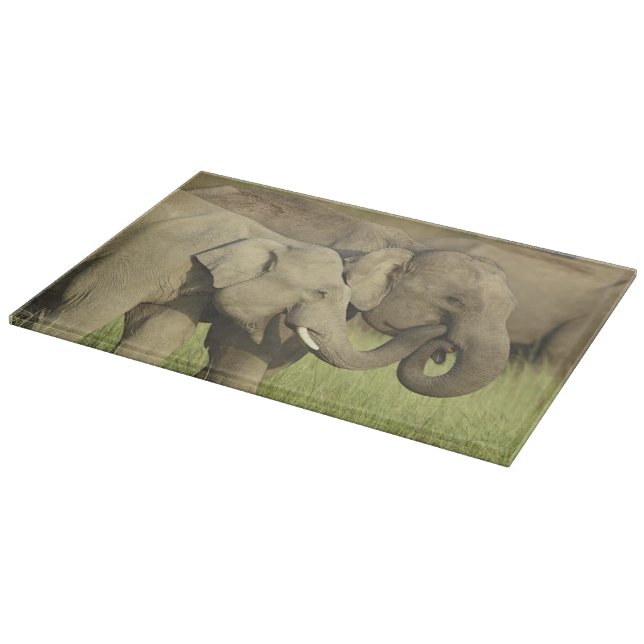 Planche À Découper Éléphants d'Asie indiens (Coin)