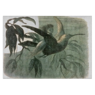 Planche À Découper Elf Fairies Elves Lune Scène nocturne Oiseau Volan