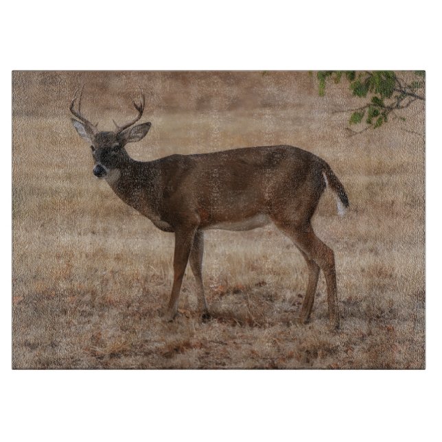 Planche à découper en verre Deer Buck Wild Art (Devant)