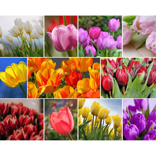 Planche à découper en verre Fleurs Décoratives (Créateur téléchargé)