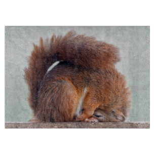 Planche à découper en verre rectangulaire Yoga Squ
