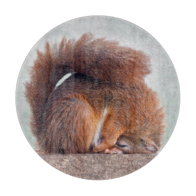 Planche à découper en verre rond Yoga Squirrel (Devant)