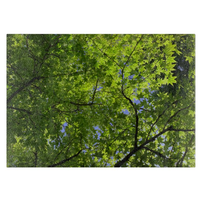 Planche À Découper Érable au printemps (Devant)