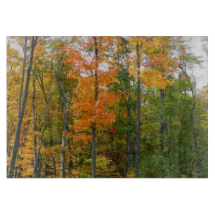 Planche À Découper Érables en automne Photographie de la nature