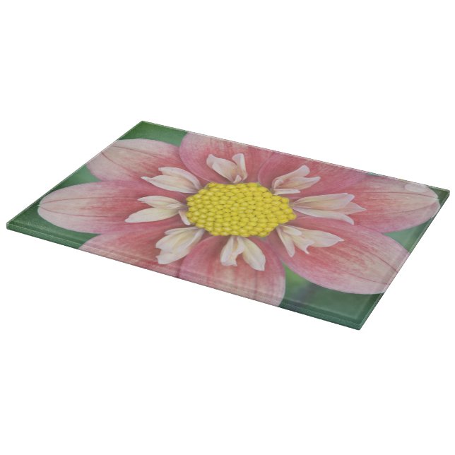 Planche À Découper États-Unis, Washington, Bellevue, Bellevue Botanic (Coin)