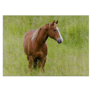 Planche À Découper États-Unis, Washington, Cheval dans un champ print