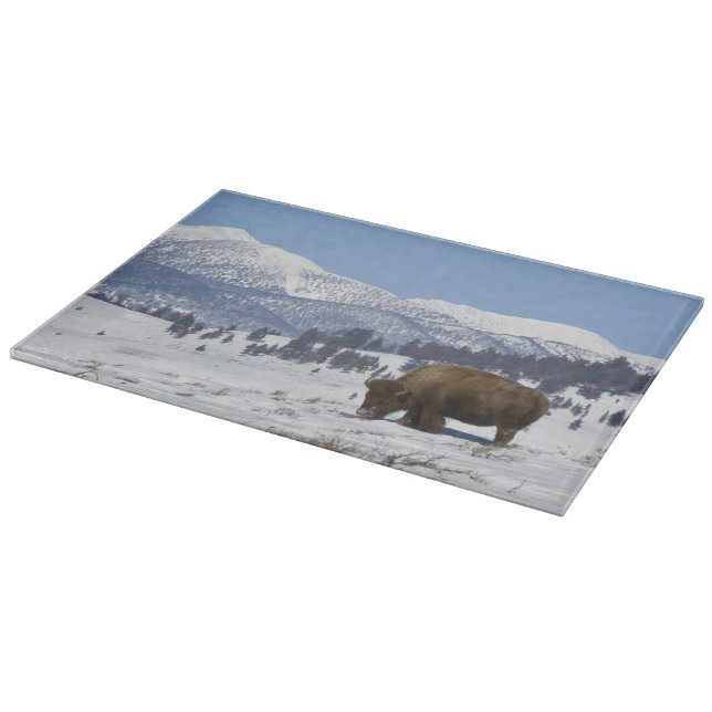 Planche À Découper États-Unis, WY, Parc national de Yellowstone, Biso (Coin)