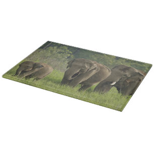 Planche À Découper Famille d'éléphants indiens