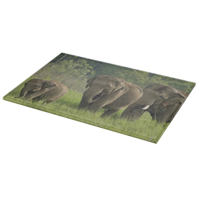 Planche À Découper Famille d'éléphants indiens (Coin)