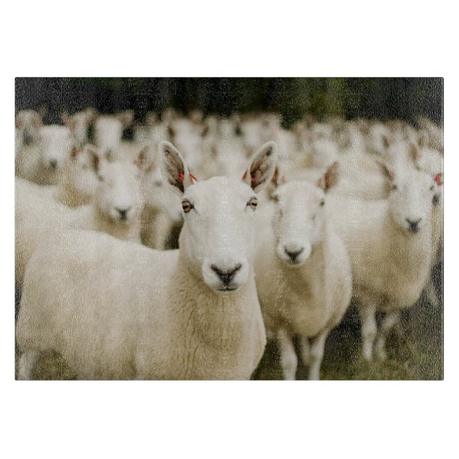 Planche À Découper Farms | Herd of Sheep (Devant)