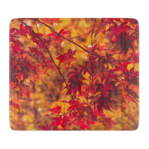 Planche À Découper Feuilles d'automne Feuillage de la nature à l'auto