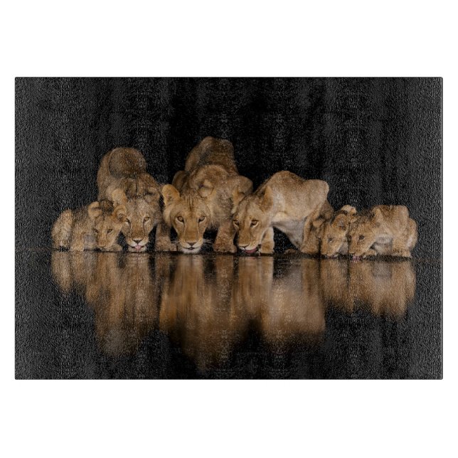 Planche À Découper Fierté de lions buvant au point d'eau la nuit (Devant)