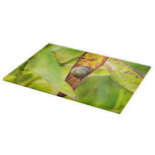 Planche À Découper fixation calme