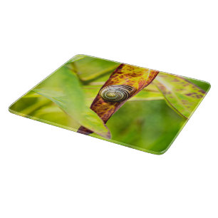 Planche À Découper fixation calme