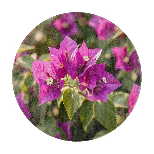 Planche À Découper Fleur de bougainvillée magenta violet vibrant (Devant)