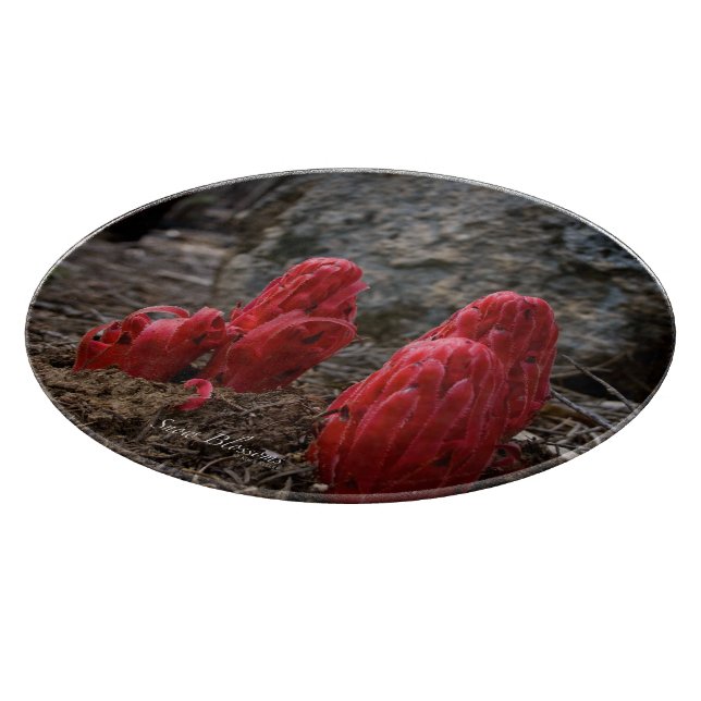 Planche À Découper Fleurs de neige (Coin)