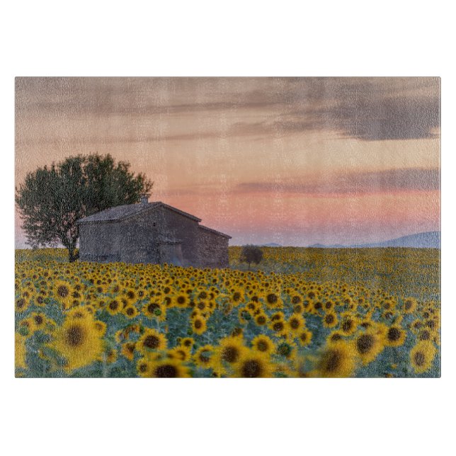 Planche À Découper Fleurs | Sunflower Field Provence, France (Devant)