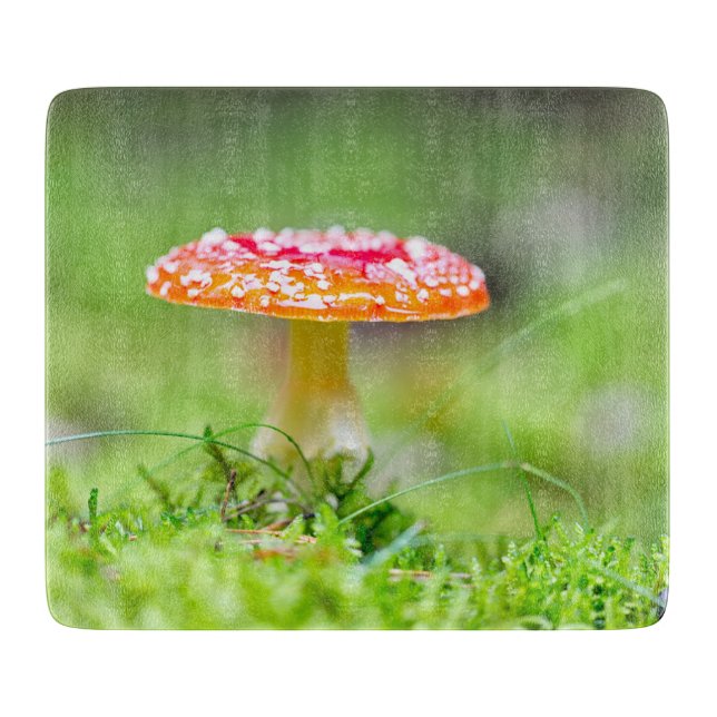 Planche À Découper Fliegenpilz (Devant)