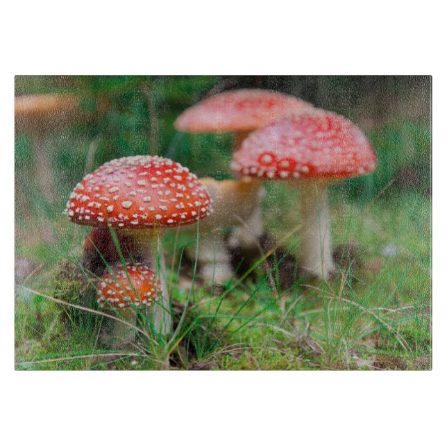 Planche À Découper Fly Agaric Dans Une Forêt, Photo Closeup (Devant)