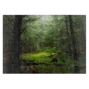 Planche À Découper Forest Auvergne France