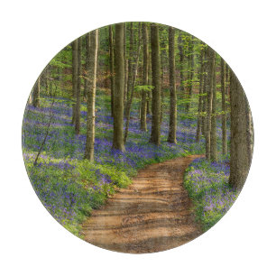 Planche À Découper Forest Bluebell Forest en Belgique