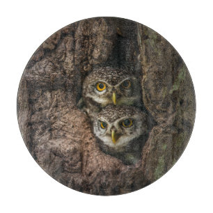 Planche À Découper Forest   Deux Owls Looking