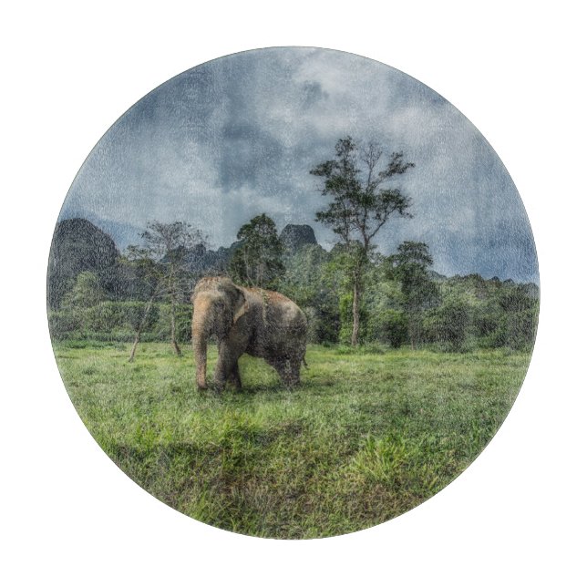 Planche À Découper Forest Parc national (Devant)