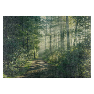 Planche À Découper Forests   Forest Path Hamburg Germany
