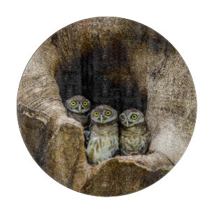 Planche À Découper Forests Three Owls Looking
