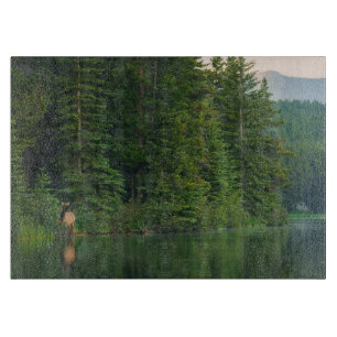 Planche À Découper Forêt   Elk au parc national Banff Alberta