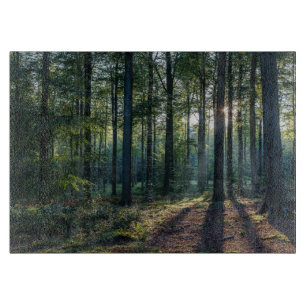 Planche À Découper Forêt   Forêt Noire Allemagne