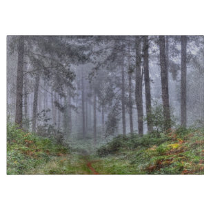Planche À Découper Forêt Misty sur Ashley Heath, Hampshire, Angleterr
