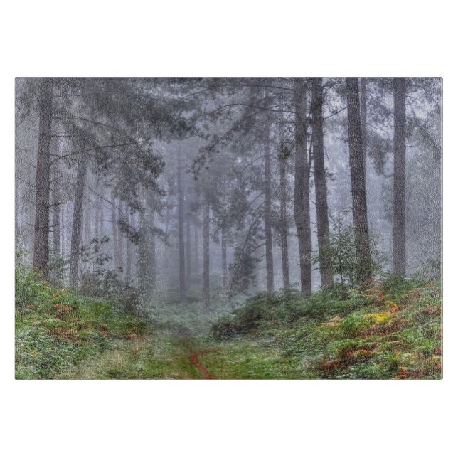 Planche À Découper Forêt Misty sur Ashley Heath, Hampshire, Angleterr (Devant)