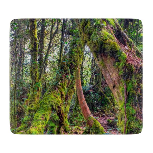 Planche À Découper Forêt moussue (Devant)
