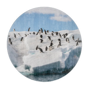 Planche À Découper Gentoo Penguin Antarctica Iceberg Playtime