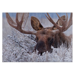 Planche À Découper Glace et neige   Grand Teton National Park, Wyomin
