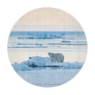 Planche À Découper Glace et neige Ours polaire Iceberg Norvège