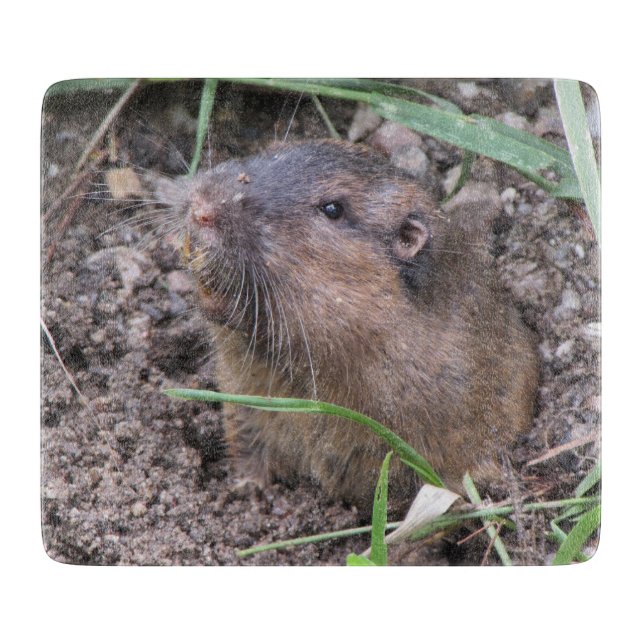 Planche À Découper Gopher de poche (Devant)