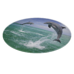 Planche À Découper Grands dauphins Tursiops truncatus