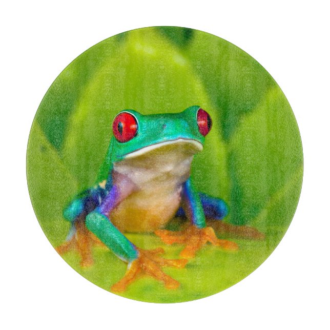 Planche À Découper Grenouille aux yeux rouges, Costa Rica (Devant)