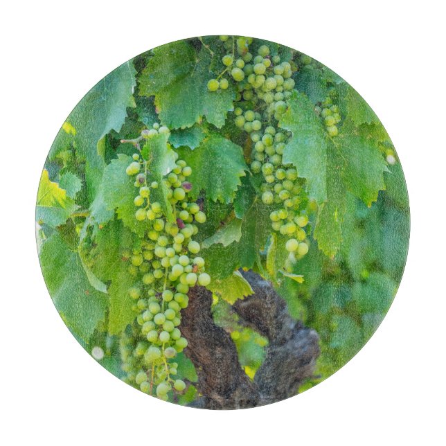 Planche À Découper Gros plan de raisins en maturation (Devant)
