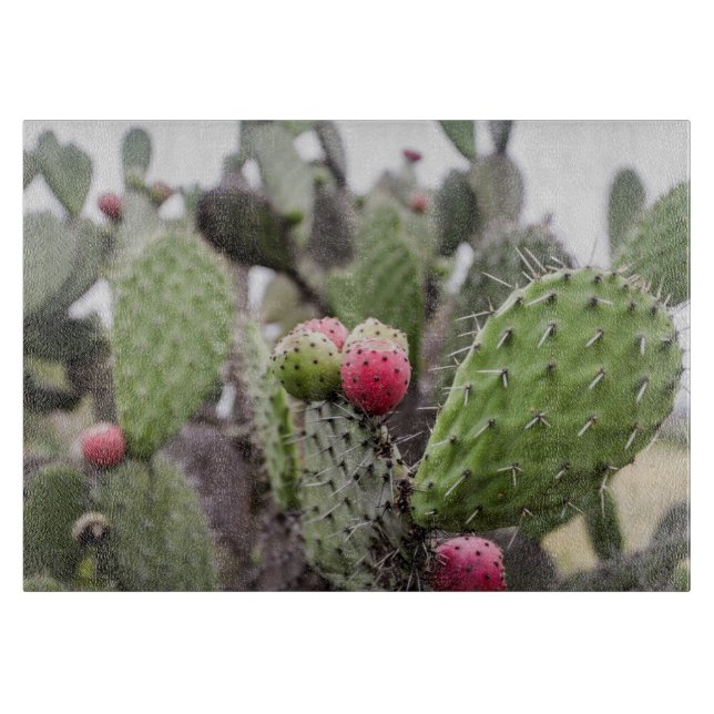 Planche À Découper Gros plan sur le cactus figuier de Barbarie (Devant)