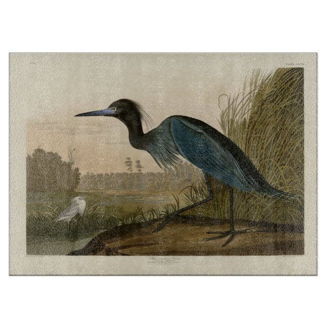Planche À Découper Grue Bleue Heron Audubon Peinture (Devant)