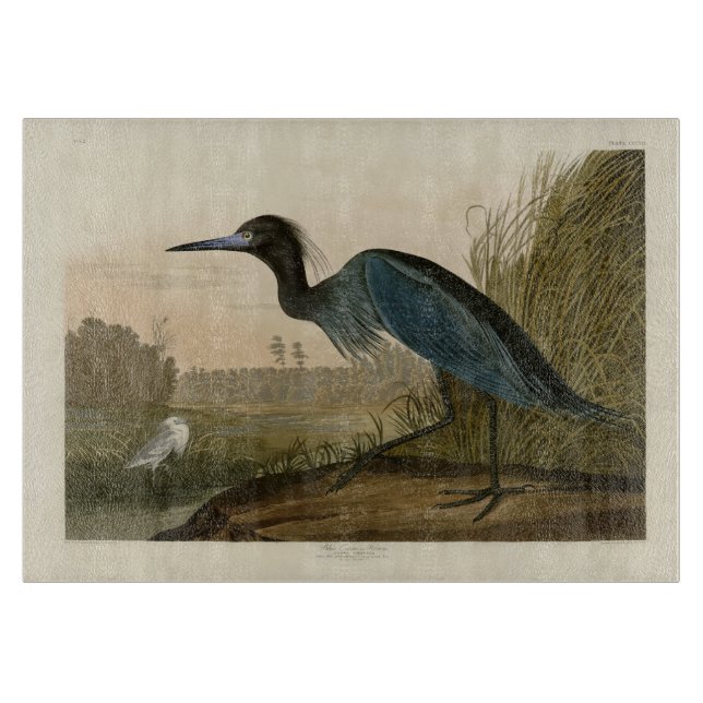 Planche À Découper Grue bleue Héron Impression Audubon Art côtier (Devant)
