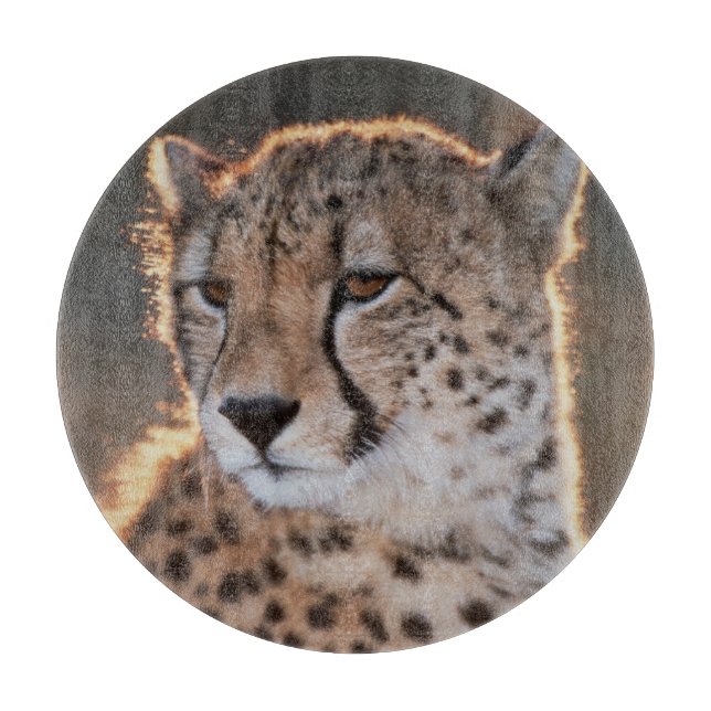 Planche À Découper Guépard regardant ailleurs (Devant)