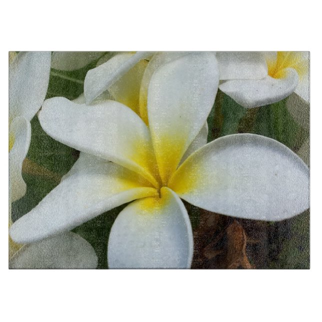 Planche À Découper Hanauma Bay Hawaii (Devant)