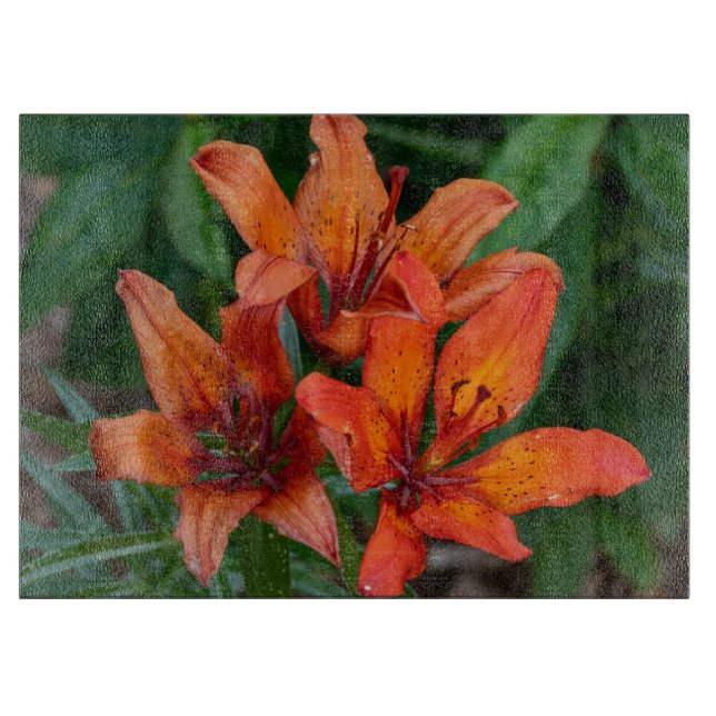 Planche À Découper Hémérocalle Orange Fleur Canadienne Photographie (Devant)